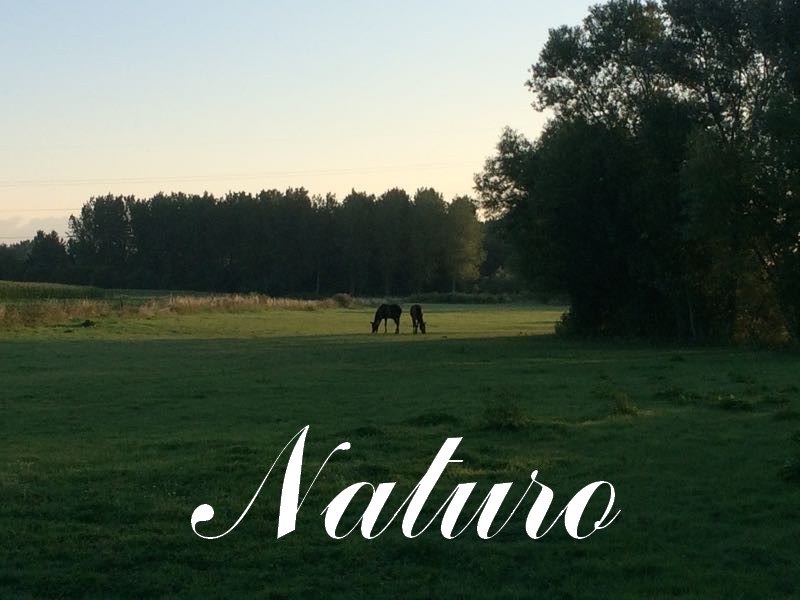 Naturo011.jpg